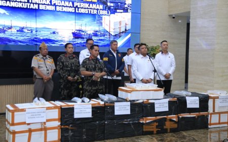 Polri Ungkap Jaringan Penyelundupan Baby Lobster Lintas Negara, Dua Pelaku Ditangkap