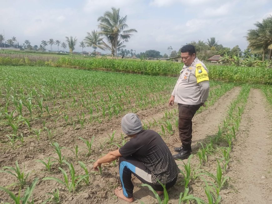 Polres Malang Perkuat Sinergi dengan Petani untuk Jaga Ketahanan Pangan